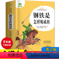 钢铁是怎样炼成的 488页 [正版]爱德教育青少版经典名著书库 钢铁是怎样练成的 全译本初中生青少版课外书八年级下册精讲