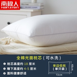 枕头枕芯单人一只装男整头芯双人一对家用BT
