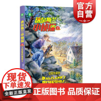 达尔斯兰小侦探4:空屋的秘密