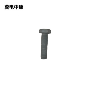 冀电中康 外六角螺栓 M10-1.5X 30 个
