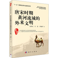 唐宋时代黄河流域的外来文明