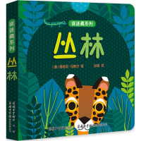 音像捉迷藏系列(澳)娜塔莉·马歇尔 著;孙璐 译