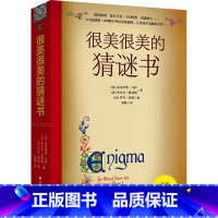 很美很美的猜谜书 [正版]很美很美的猜谜书 10-12-15岁 初中小学生益智打谜语课外读物书籍提高孩子数学空间逻辑思维