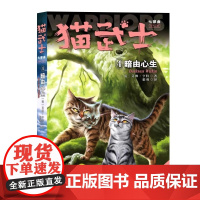 猫武士七部曲破灭守则4暗由心生正版陪伴孩子成长励志故事书籍8-12岁儿童冒险奇幻动物小说故事书小学生三四五六年级中国