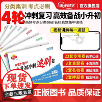 2025新版阳光同学小升初冲刺速刷卷4轮冲刺小升初真题新卷语文数学英语总复习分类试卷名校冲刺历年真题六年级下册试卷测试卷