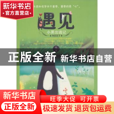 正版 遇见:小黑出逃记 夏至图/文 北京联合出版公司 978755020398