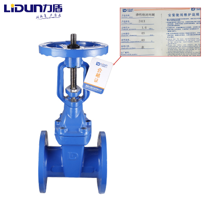 力盾 法兰明杆弹性座封闸阀 6541 DN65 台