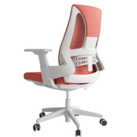 臻远 ZY-BGY-19 办公椅转椅人体工学椅电脑椅会议椅办公椅子学习椅(白色)