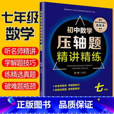 [正版]初中数学压轴题精讲精练七年级上下册数学同步知识专项训练练习题真题 全国通用 初中七年级初一数学知识大全解题技巧