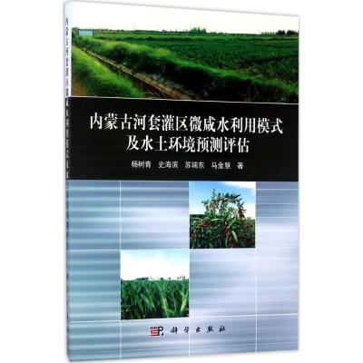 内蒙古河套灌区微咸水利用模式及环境预测评估