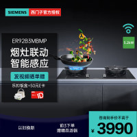 西门子 ER92B3MBMP 5.2kW嵌入式大火力燃气灶 三重聚焰 猛火爆炒 230°宽幅旋钮 意外熄火保护 天然气