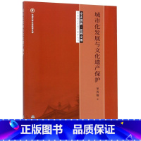 [正版]城市化发展与文化遗产保护/守正创新思辨文博单霁翔文化遗产保