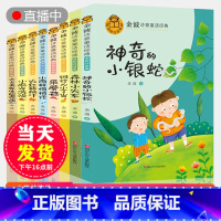 金波诗意童话经典系列全套8册 [正版]全套8本金波诗意童话经典小学生一二三年级课外阅读书籍朗诵 神奇的小银蛇小雨的悄悄话
