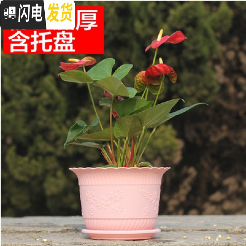 三维工匠波浪花边莲花盆塑料树脂仿陶型大花盆多肉绿萝花盆可水培送托盘 粉色[开孔留言] 小号[口径15cm]15个花盆容器