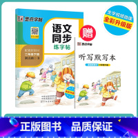 [语文描红]2年级下册(送听写默写本) 小学二年级 [正版]二年级练字帖小学生每日一练写字帖2023年荆霄鹏楷书字帖小学