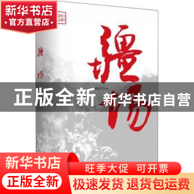 正版 疆场 杨洪军著 中国言实出版社 9787517125396 书籍