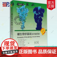 正版 糖生物学基础 原书第4四版 生命科学名著糖生物信息学与糖组学糖基化工程生物技术 科学出版社书籍