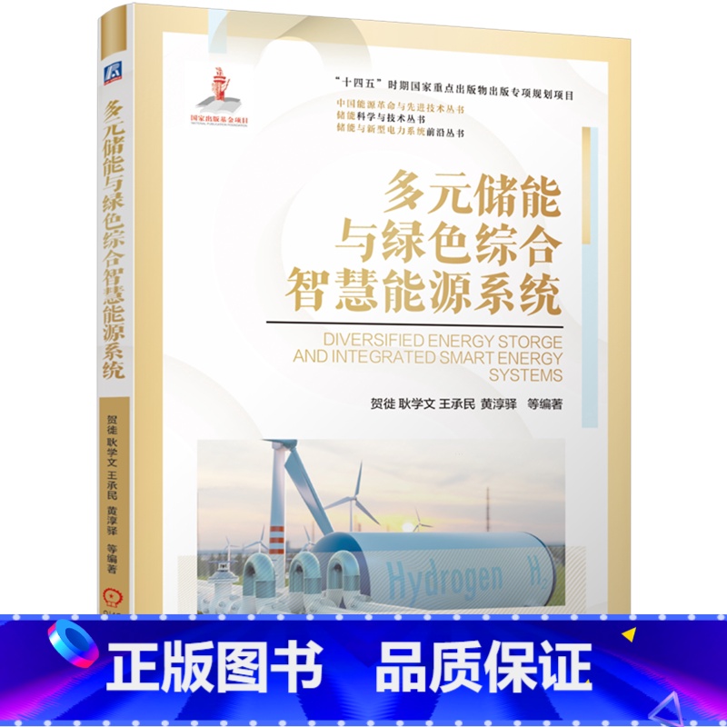 多元储能与绿色综合智慧能源系统 [正版]多元储能与绿色综合智慧能源系统