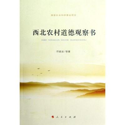 正版新书]西北农村道德观察书符晓波9787010110769