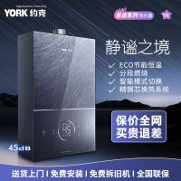 约克(YORK)燃气热水器16升家用强排恒温变频智控节能省气JSQ30-F16A