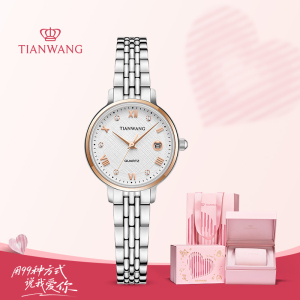 天王手表女简约气质小表盘女士石英腕表官方正品潮款女表31374