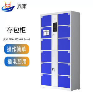 鼎南电子存包柜超市商场智能指纹储物柜人脸识别存包柜12门