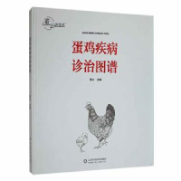 音像蛋鸡疾病诊治图谱董云主编