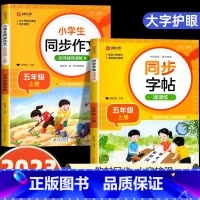 [五年级上]同步字帖+同步作文 小学通用 [正版]2024人教版小学同步练字帖一年级二年级上册三年级四年级上五六年级下册
