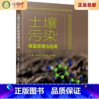 [正版]二手土壤污染修复原理与应用 宋敏 化学工业出版社