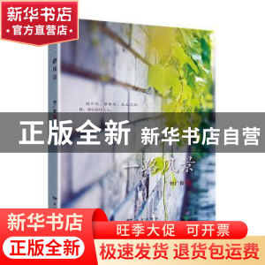 正版 一路风景 智广俊 远方出版社 9787555515012 书籍