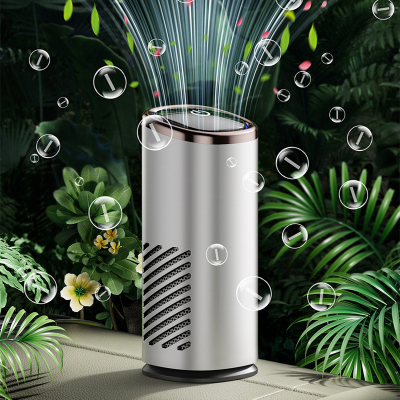 百晟长恒 BSCH-XP53A 除甲醛异味 tvoc 除菌 便携式 车载净化器 (计价单位:台) 银色