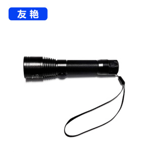 友艳LED灯YYDD-010/个