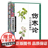 伤寒论白话精解