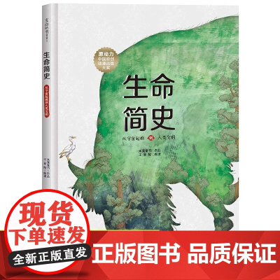 生命简史从宇宙起源到人类文明精装绘本正版儿童科普给孩子的生命简史百科大全书8-12岁小学生课外科普百科全书DK时间线上的