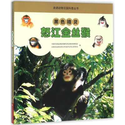 [M]黑色精灵-9787534980497