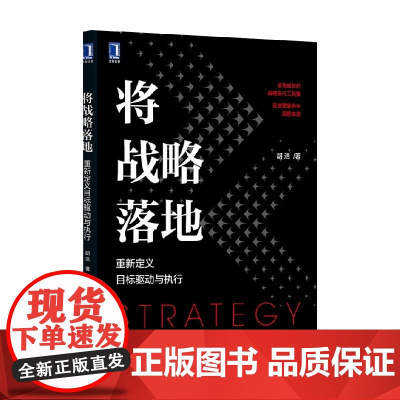 将战略落地 胡浩 著 管理