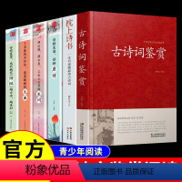 [正版]全6册 古诗文鉴赏+中国诗词大会枕上诗书一本书读懂美古诗词唐诗宋词元曲诗经仓央嘉措诗传若词古代文化常识书籍全套