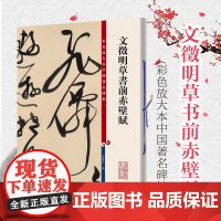 文徵明草书前赤壁赋 孙宝文 彩色放大本中国著名碑帖 书法碑帖 毛笔字字帖教材 观历代碑帖大雅 篆刻 正版图书籍 上海辞书