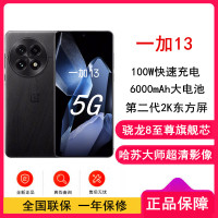 [全新]OPPO 一加13 黑曜秘境 16GB+512GB 哈苏全焦段超光影影像 2K 东方屏 骁龙8至尊旗舰芯 5G旗舰手机
