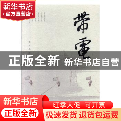 正版 带电 潘洗//杨宏 春风文艺出版社 9787531356905 书籍