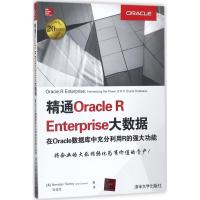 精通Oracle R Enterprise大数据 在Oracle数据库中充分