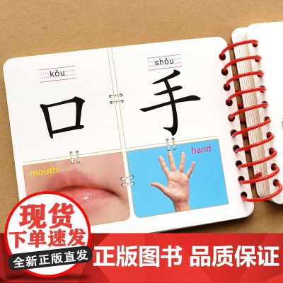 婴幼儿童识字卡片启蒙幼儿园认字幼小衔接学前识字书幼儿认字教材0-2-3岁宝宝看图识字神器认知益智书籍撕不烂早教书大班绘本