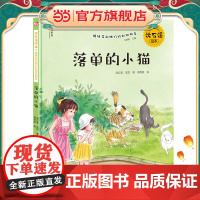 沈石溪绘本·姐妹花和她们的动物朋友:落单的小猫