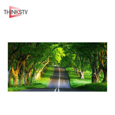 泰亨 室内COB全彩LED显示屏 P1.25 块