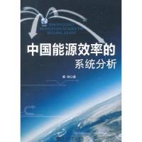 正版新书]中国能源效率的系统分析董锋9787514124897