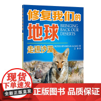 走进沙漠