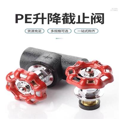 盛京联硕 PE截止阀 PE20(4分)(承压1.6Mpa)个