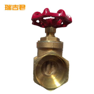 瑞吉君 铜闸阀 DN15 个