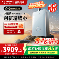 史密斯佳尼特[小精钢TJS5]16升增压零冷水燃气热水器 国家补贴 JSQ31-TJS5 安全守护 持久恒温 新品