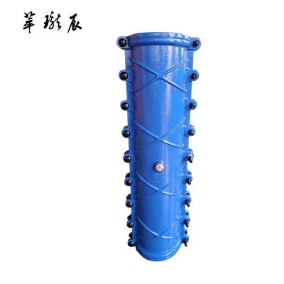 萃珑辰 球墨铸铁加长堵漏器(包PE管)DN110*1000 个